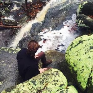 Meet your Posher, Wilson